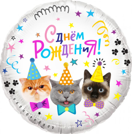 Воздушный шар из фольги. Котики, С Днем Рождения! Круг (16''/46 см, CHN)