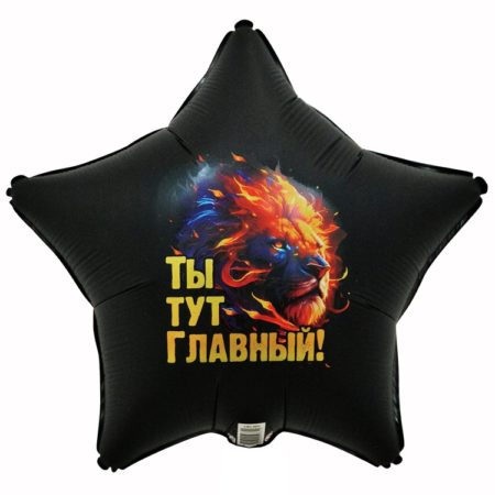 Воздушный шар из фольги. Звезда, ты тут главный (18”/45 см, CHN)